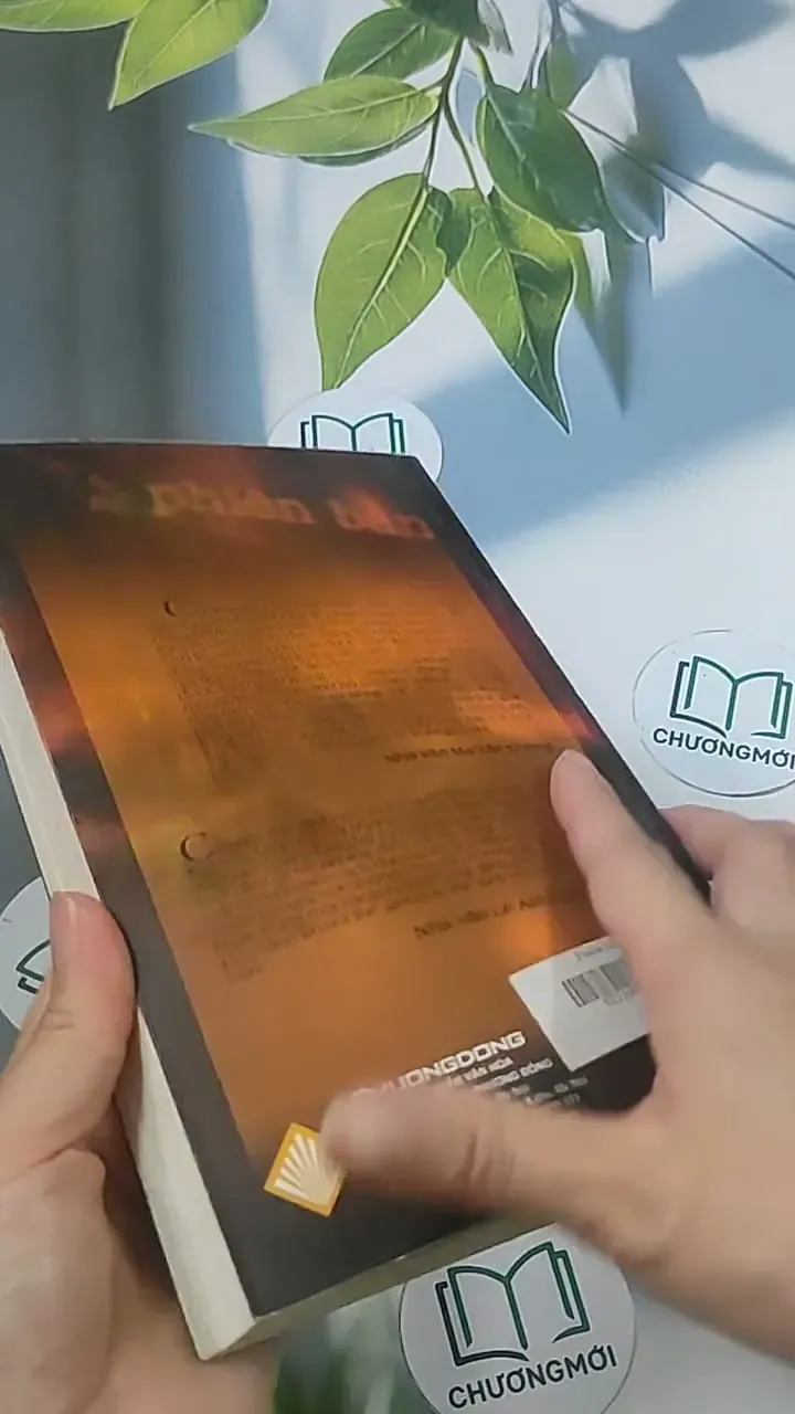 Phiên bản - Nguyễn Đình Tú 694921