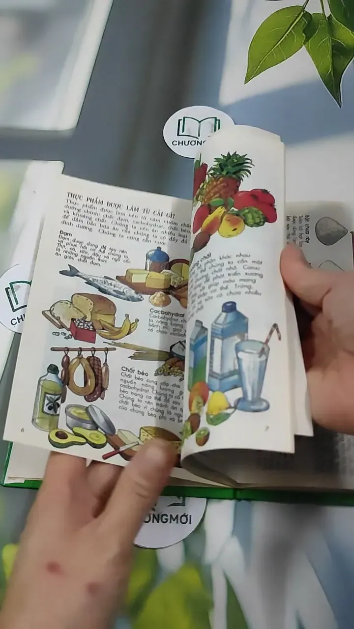 Thực Phẩm - Sự Kỳ Diệu Của Sinh Học (1998) 727307