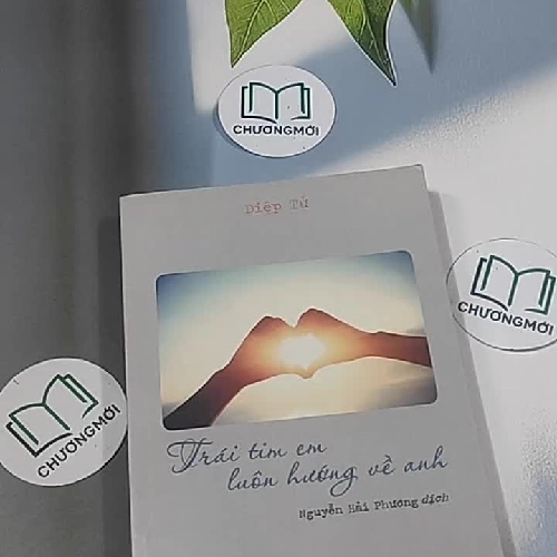 Trái tim em luôn hướng về anh - Diệp Tử