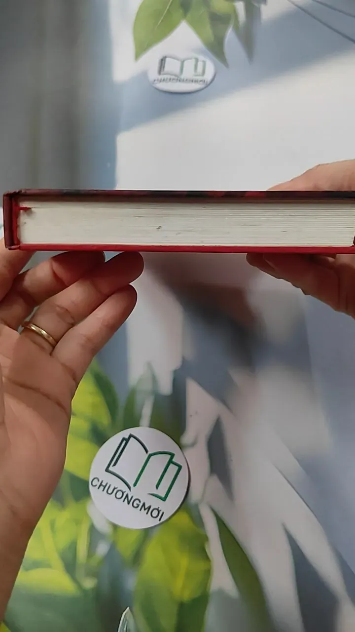 Love Family Career - Tình Yêu Gia Đình Sự Nghiệp - Nguyễn Thị Sơn 749585