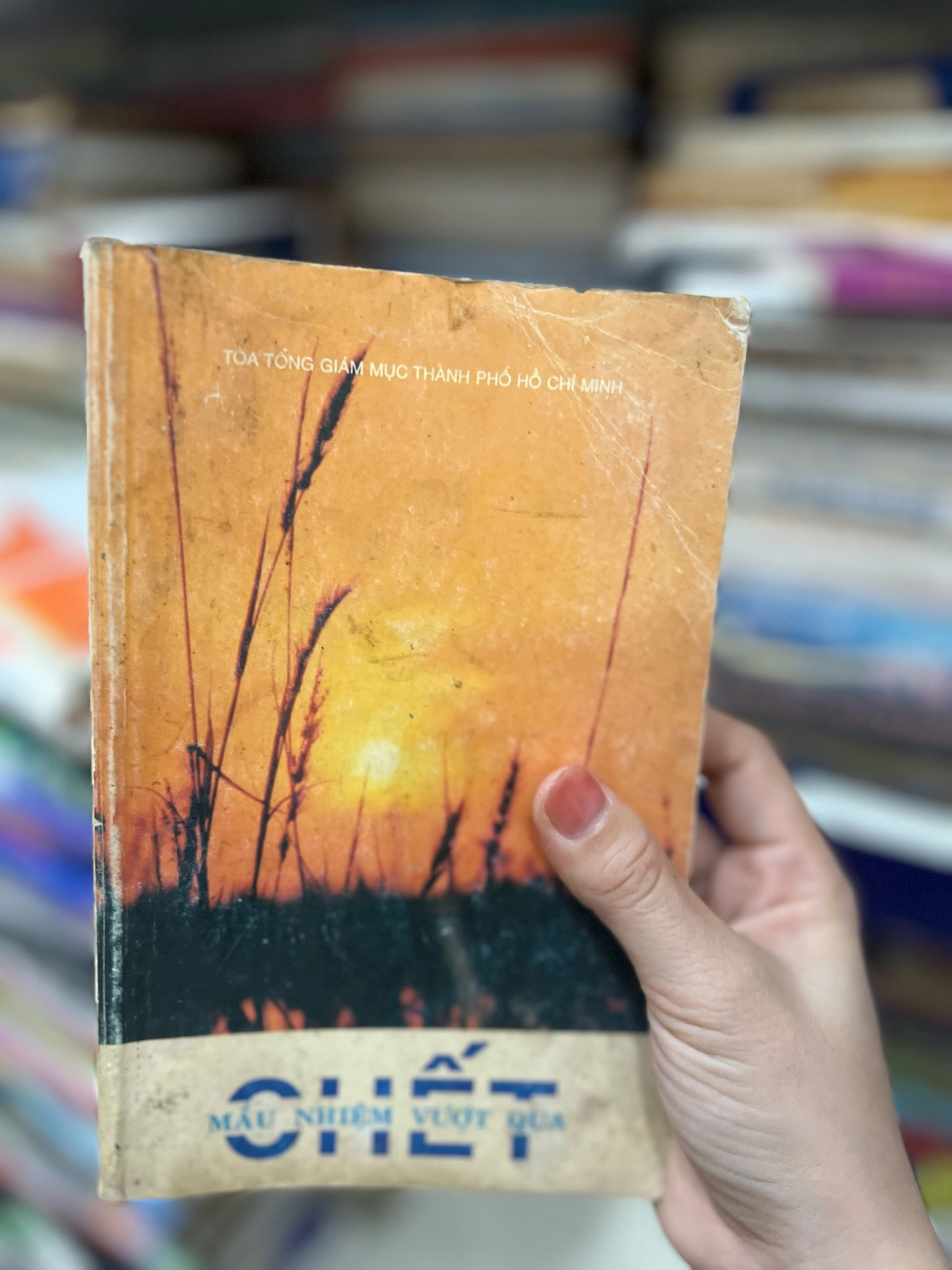 Chết màu nhiệm vượt qua - Toà tổng giám mục thành phố HCM by  - Sách Book Cover - Ngọc Hiển Books