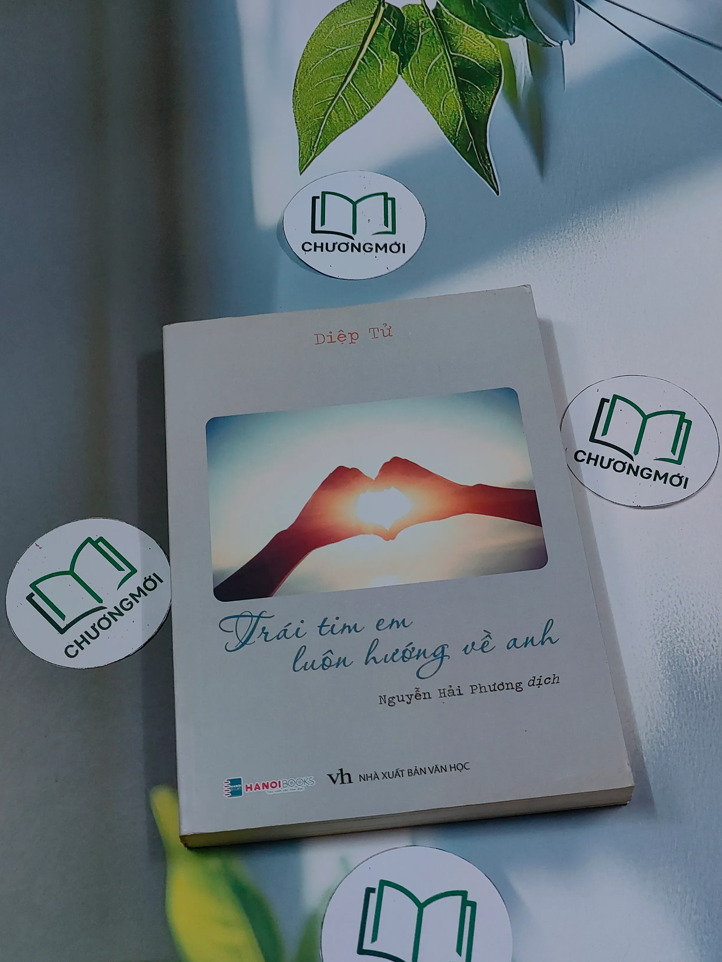 Trái tim em luôn hướng về anh - Diệp Tử