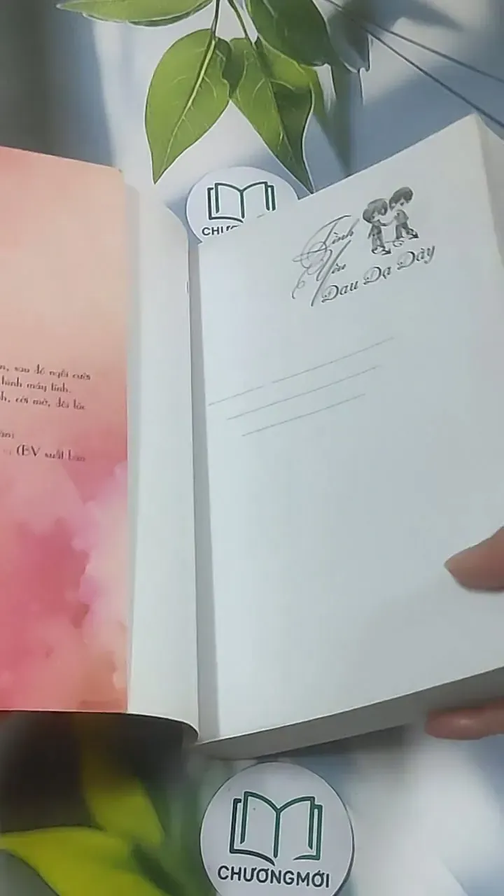 Tình yêu đau dạ dày - Điệp Chi Linh 688596