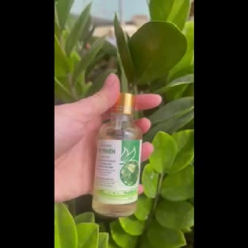 Tinh dầu tràm nguyên chất chai 50ml 537441