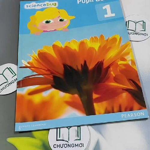 Science Bug Pupil Book Year 159