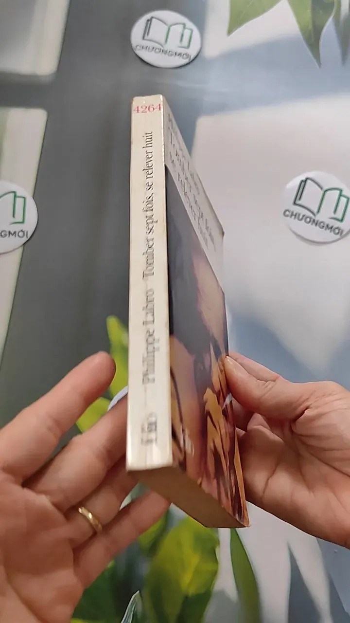 [MIỄN PHÍ BỌC SÁCH] Tomber sept fois, se relever huit - Philippe Labro 754471