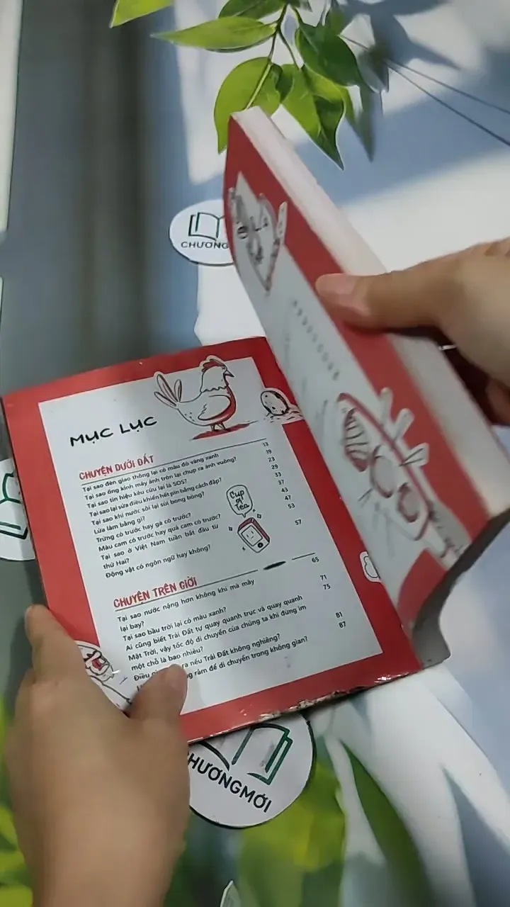 Không Có Câu Hỏi Nào Ngớ Ngẩn 705745