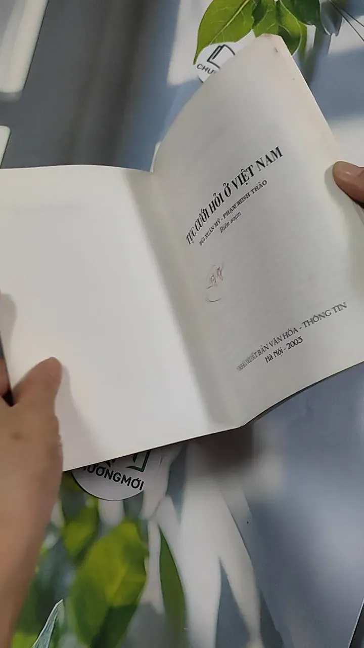 Tục Cưới Hỏi Ở Việt Nam - Bùi Xuân Mỹ - Phạm Minh Thảo 776168