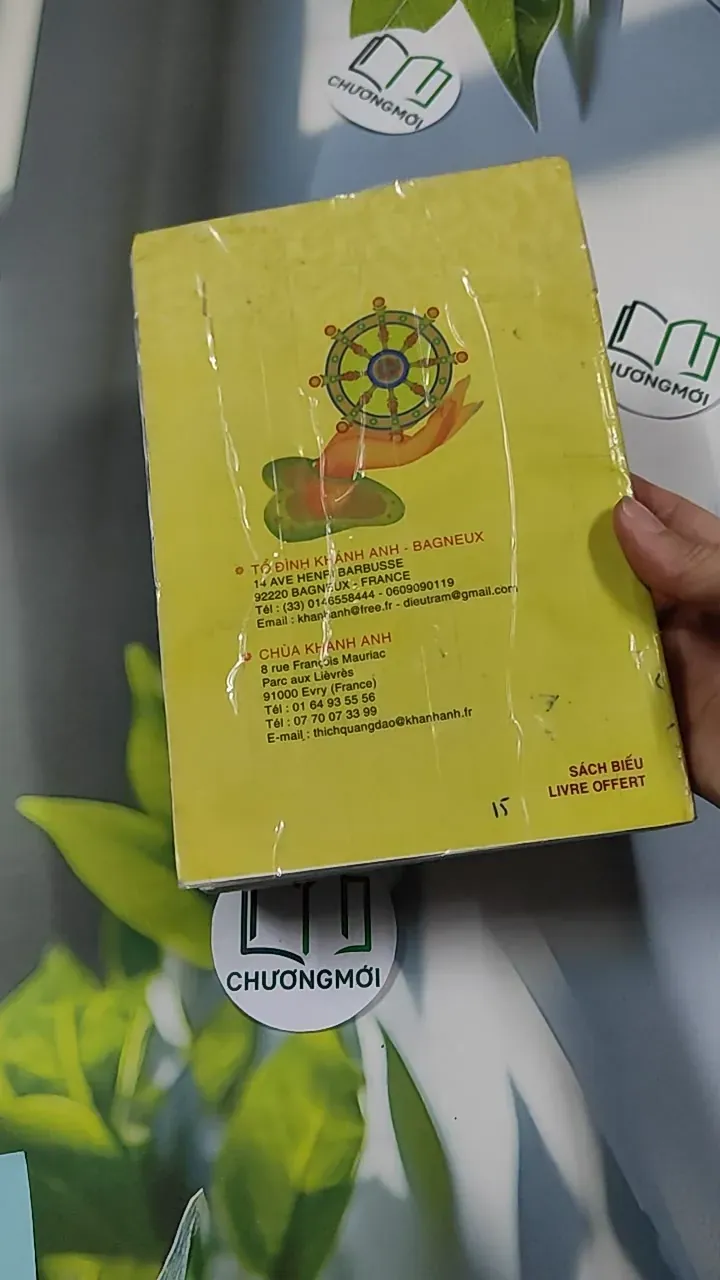 Vài câu chuyện Đạo (Song ngữ Việt - Pháp) 776202