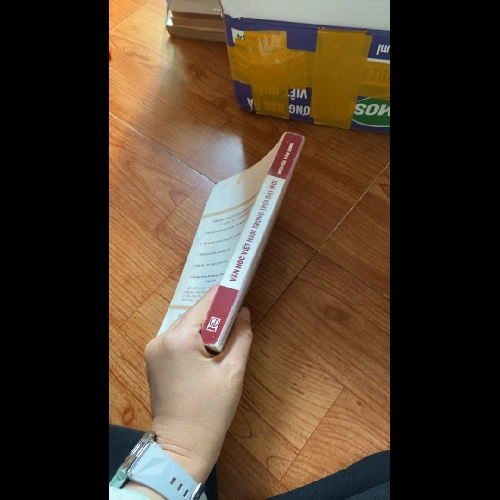 Văn học Việt Nam trong thời đại mới