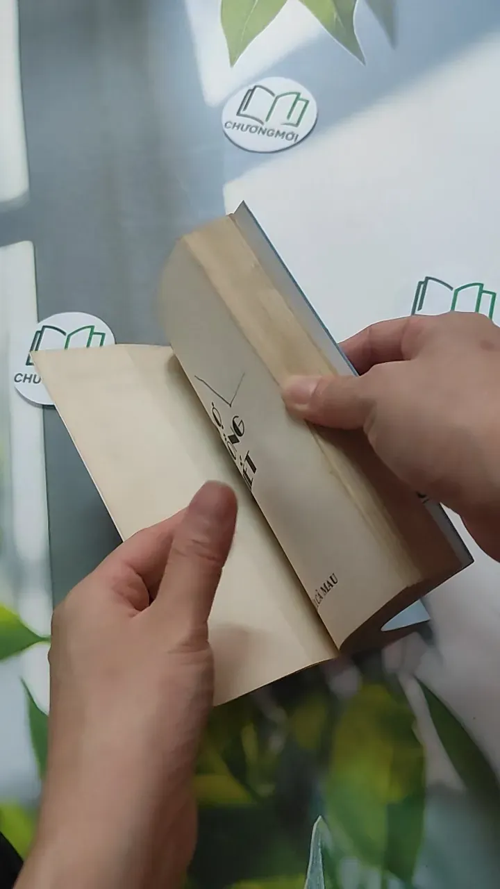 [XƯA] Nên Vợ Nên Chồng Cần Biết (1997) - Hải Thanh 787035