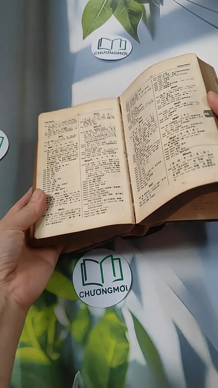 [MIỄN PHÍ BỌC SÁCH] Từ Điển Việt Hán Tối Tân 749553