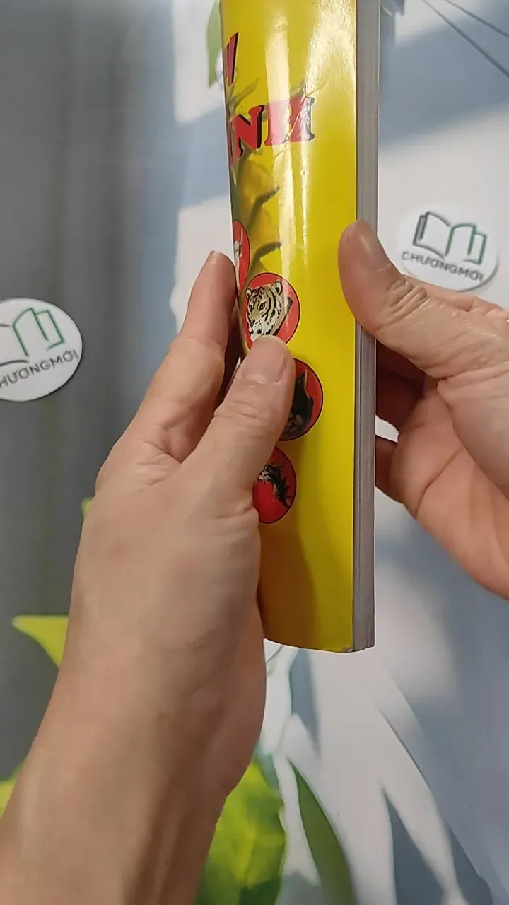 Cao Ly Đầu Hình 775958