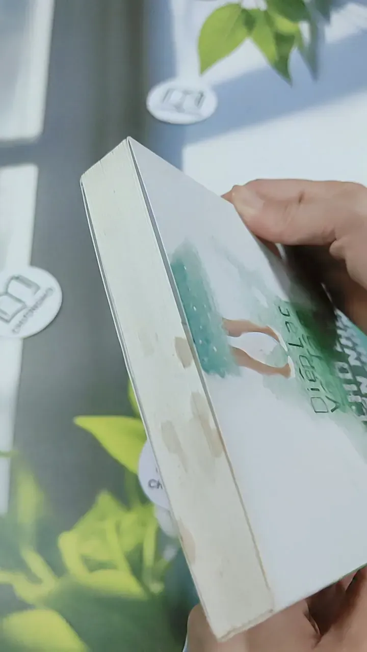 Chờ Em Lớn Nhé, Được Không? - Diệp Lạc Vô Tâm 744753