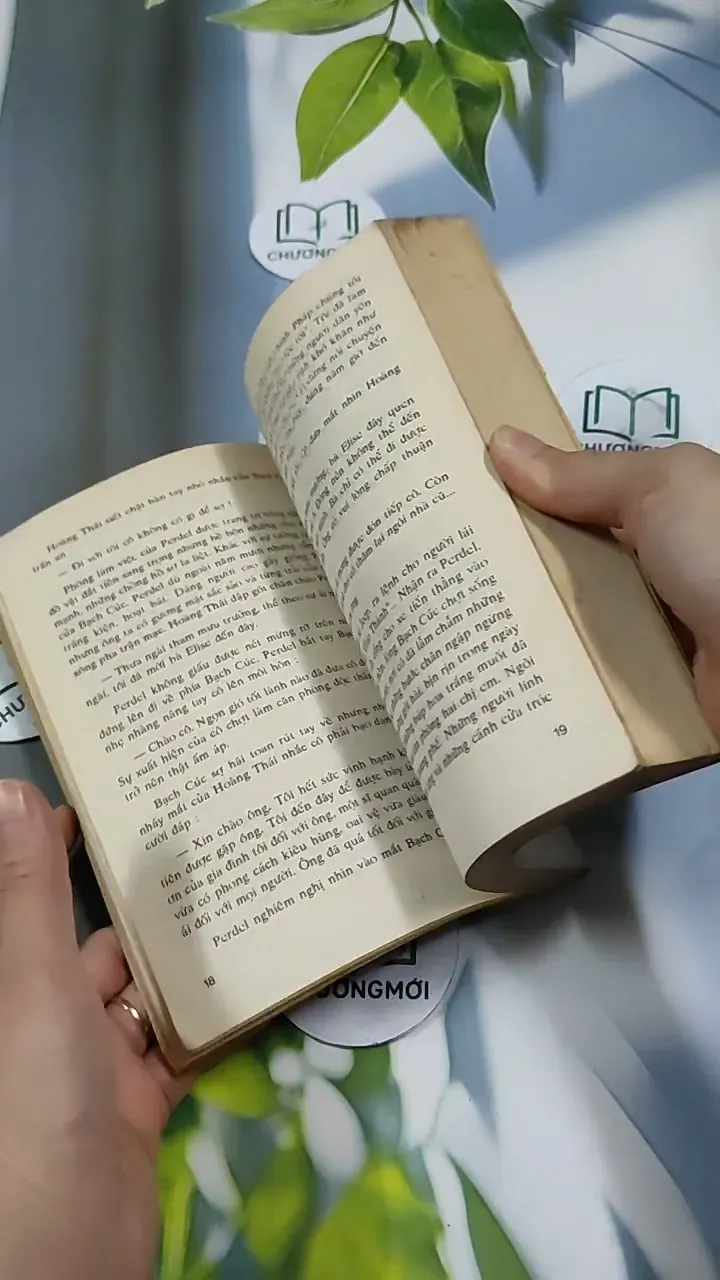 Người Đẹp Tây Đô (Tập 2) - Trầm Hương 713868