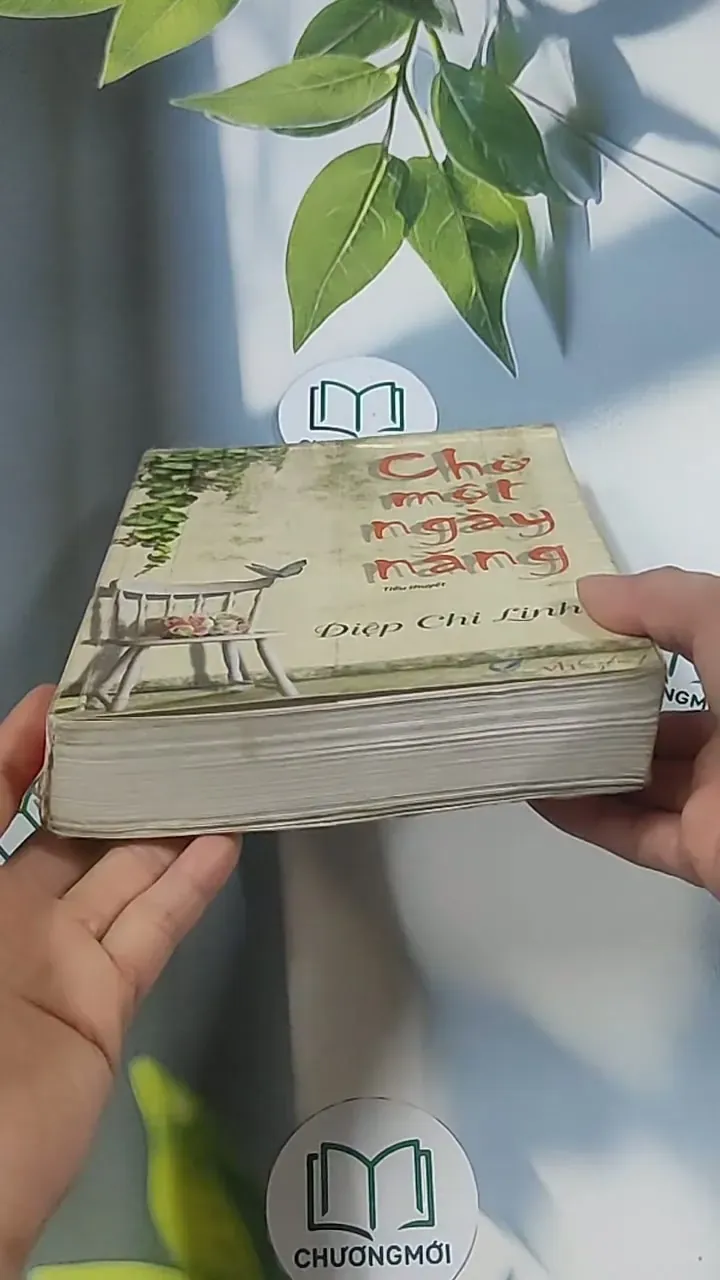 Chờ một ngày nắng - Điệp Chi Linh 694938