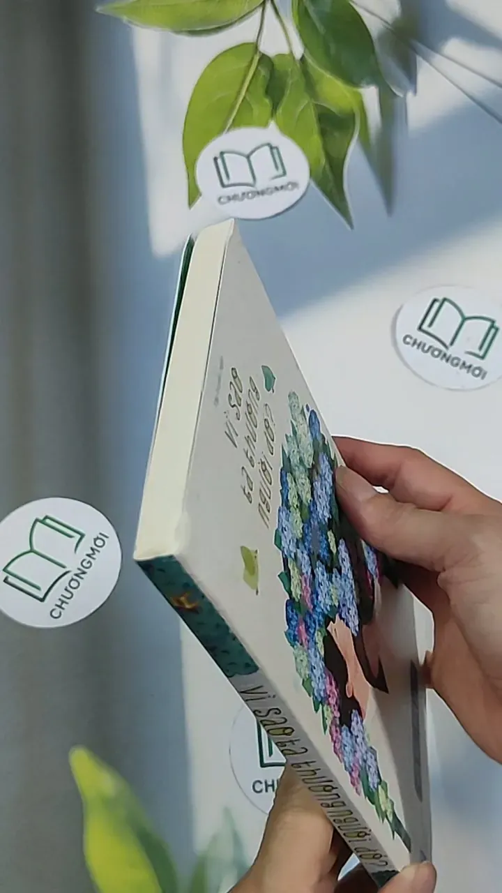 Vì sao ta thương người đó - Huy Hải 688717