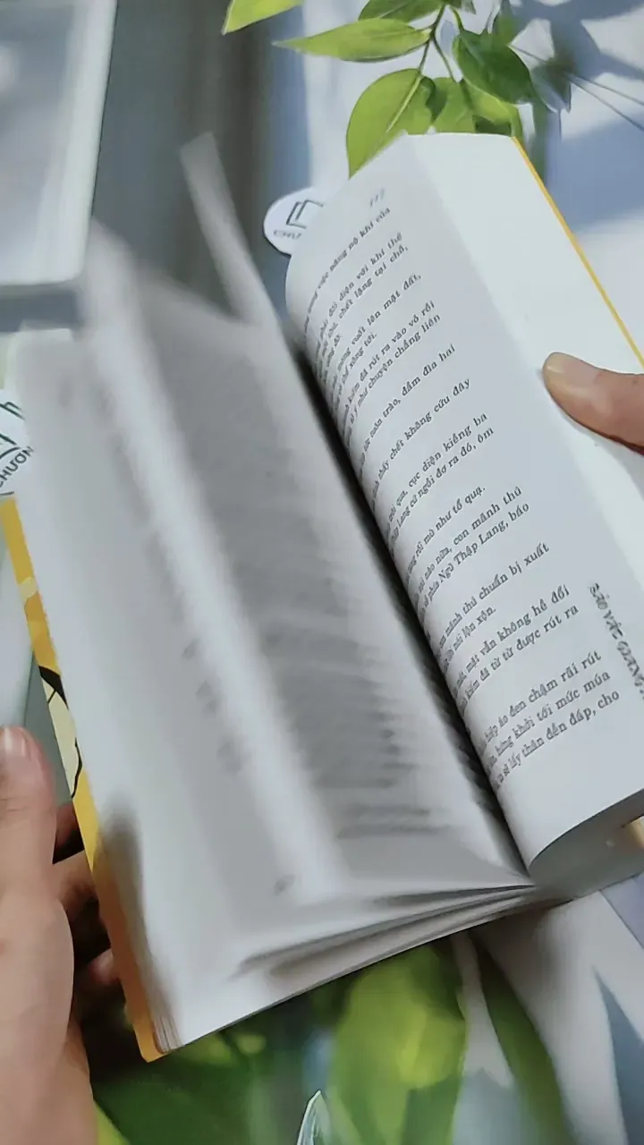 Bảo Vật Giang Hồ - Tô Tố 744769