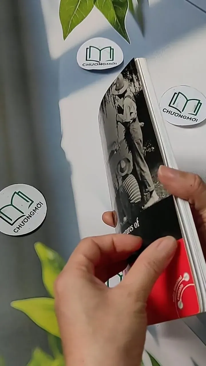 The Adventures of Tom Sawyer - Mark Twain 703069