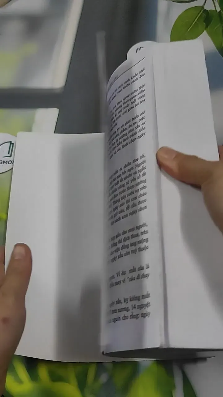 Lịch Vạn Niên Từ Năm 2000 - 2100 - Diệu Tuệ 727382