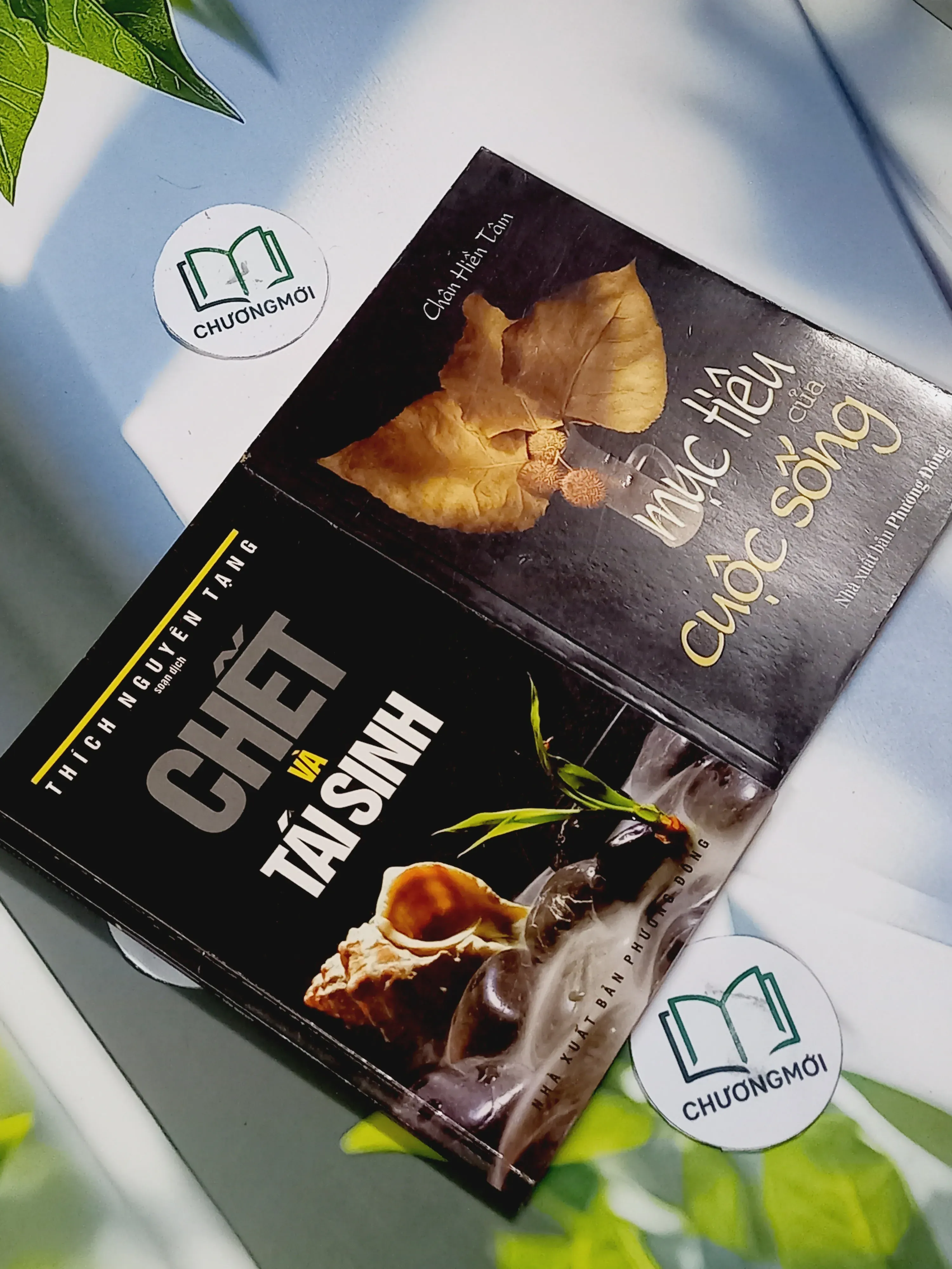 Combo: Chết và Tái Sinh, Mục Tiêu Của Cuộc Sống