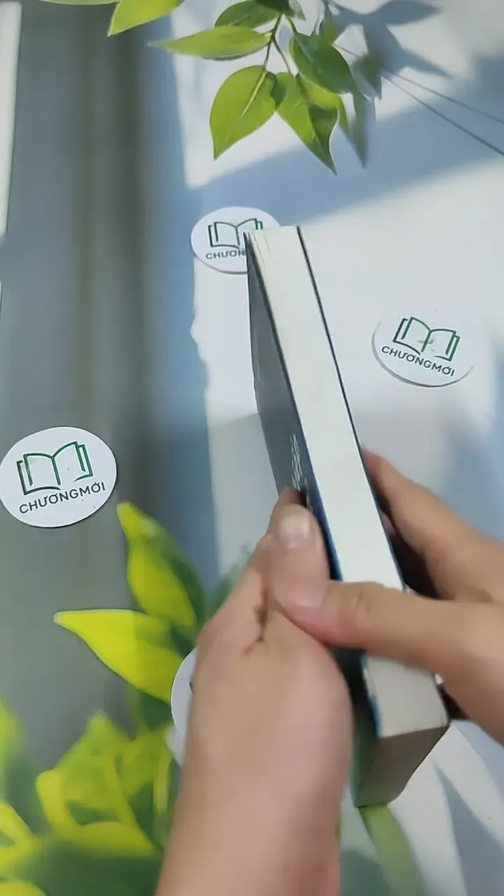 Tiền Kiếp - Có Hay Không? 705673