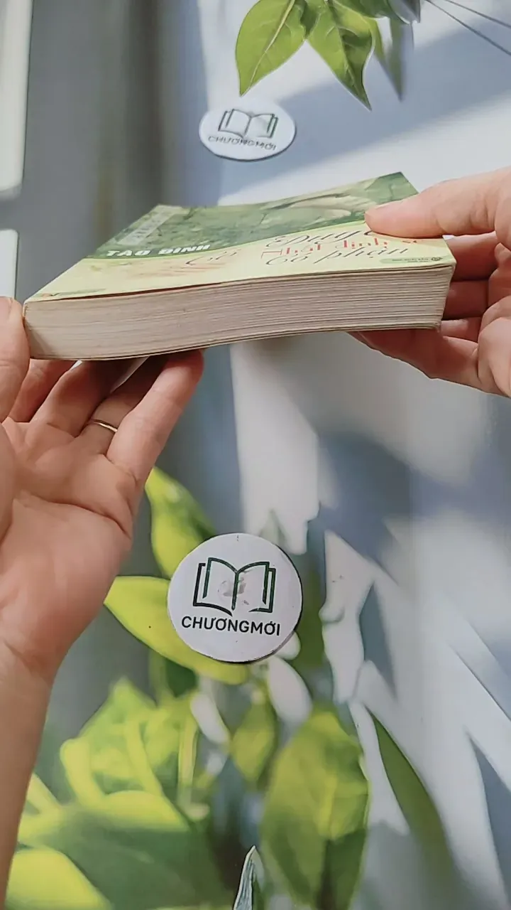 Có Duyên Nhất Định Sẽ Có Phận - Tào Đình 744694