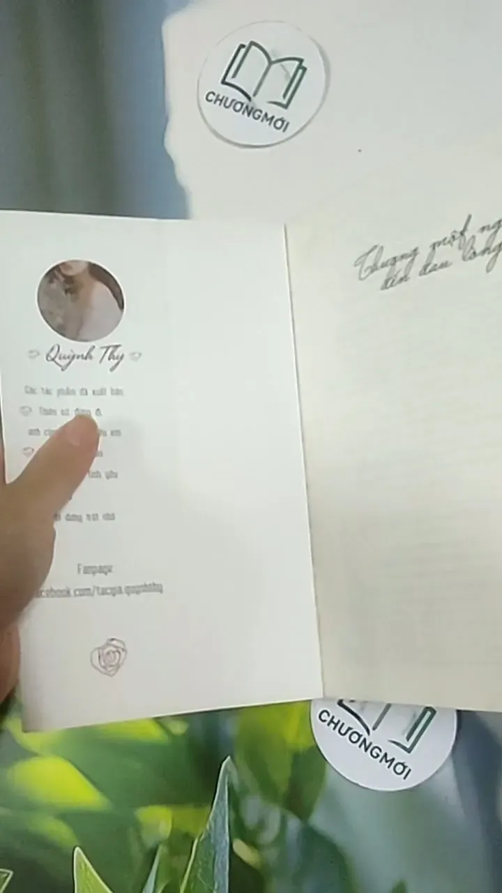 Thương Một Người Đến Đau Lòng - Quỳnh Thy 705642