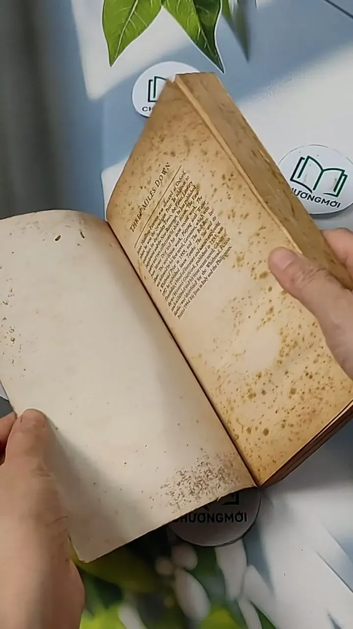 [MIỄN PHÍ BỌC SÁCH] Three Miles Down - James Hamilton-Paterson 703105