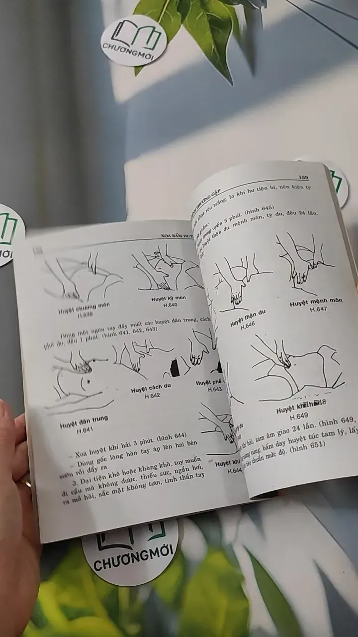 Xoa - Bấm Huyệt - Kỷ Anh & Định Công Bảy 780808