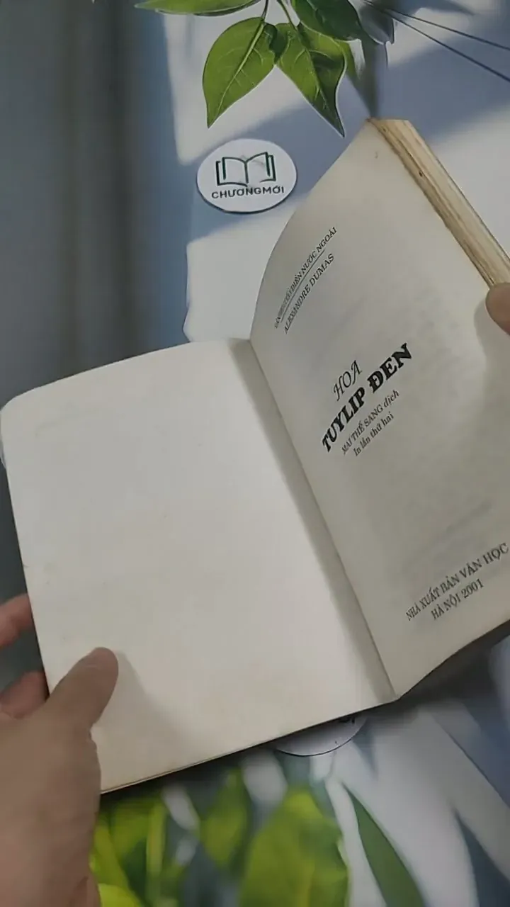 Hoa TuyLip Đen - Alexandre Dumas 715595