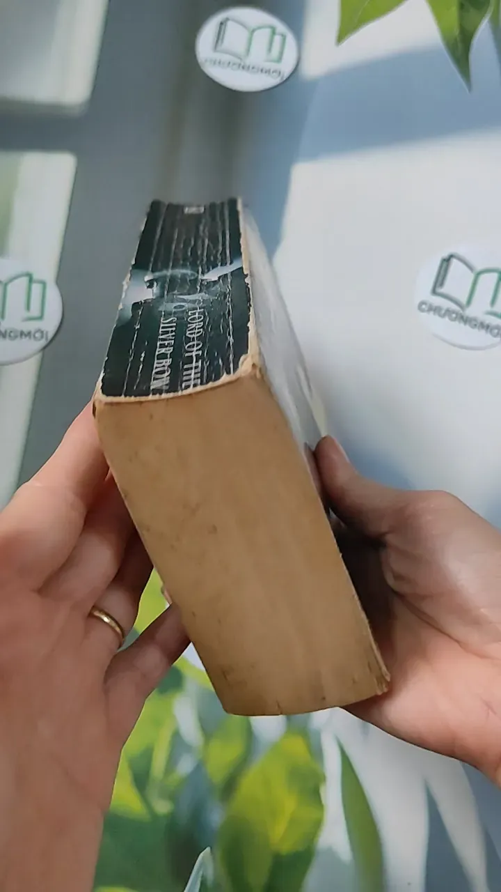 [MIỄN PHÍ BỌC SÁCH] [XƯA] Troy: Lord of the Silver Bow (1984) - David Gemmell 754500