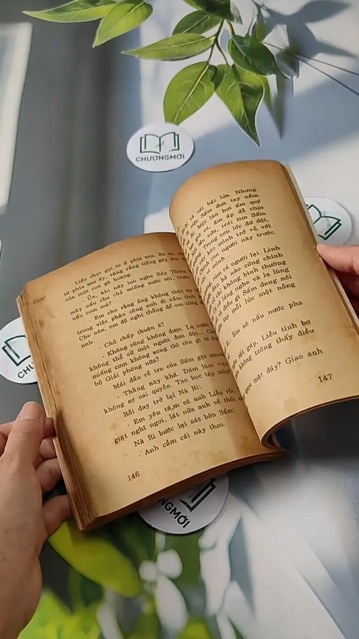 Những Người Đi Và Hai Người Ở Lại - Đinh Quang Nhã 713810