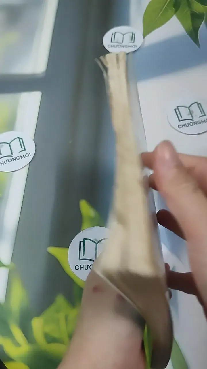 Những Điều Cần Biết Cho Các Cặp Vợ Chồng Trẻ - Nuôi Trẻ Từ Sơ Sinh Đến 12 Tuổi - BS. Lê T 727350