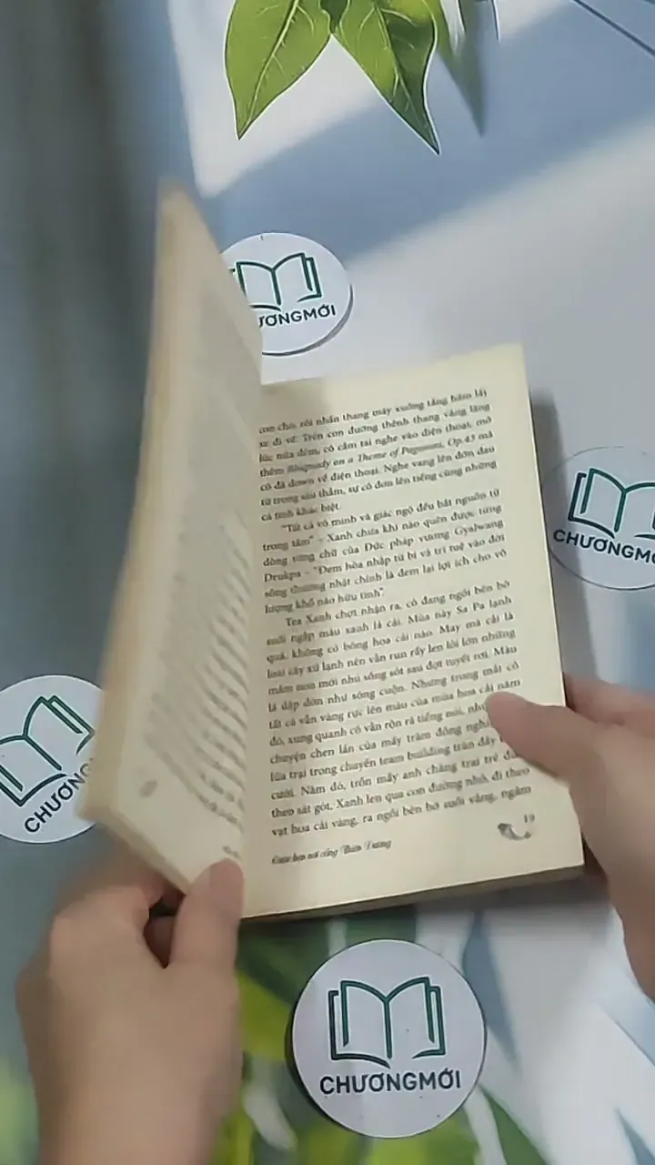 Cuộc hẹn nơi cổng thiên đường - Hòa Bình 694985