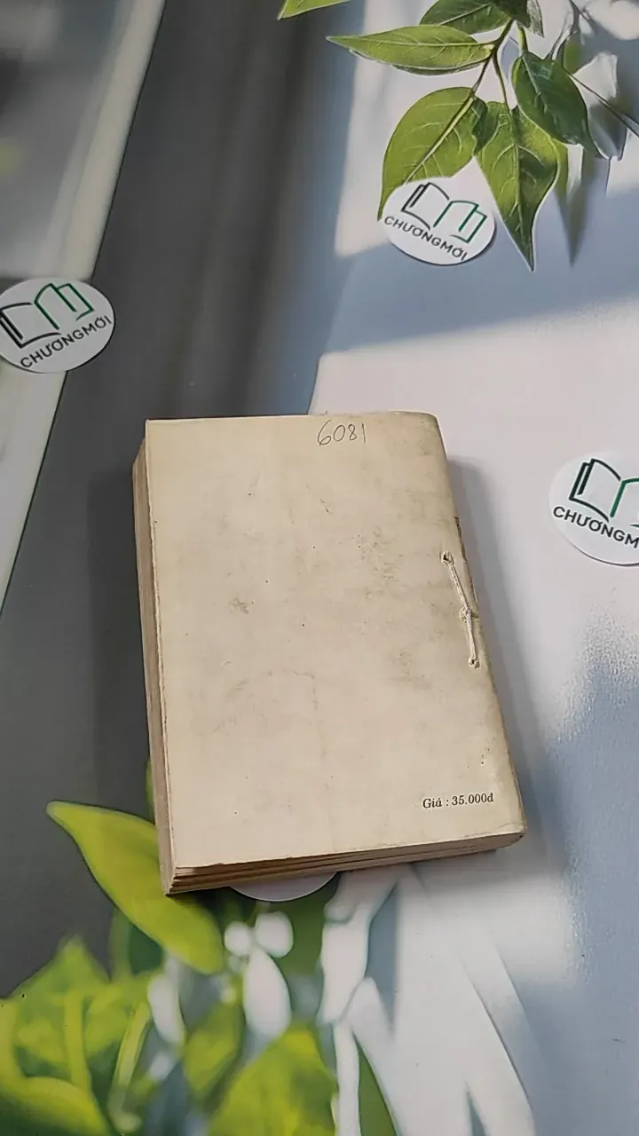 [XƯA] Đỉnh Đồi (1994) - Irwin Shaw 776066