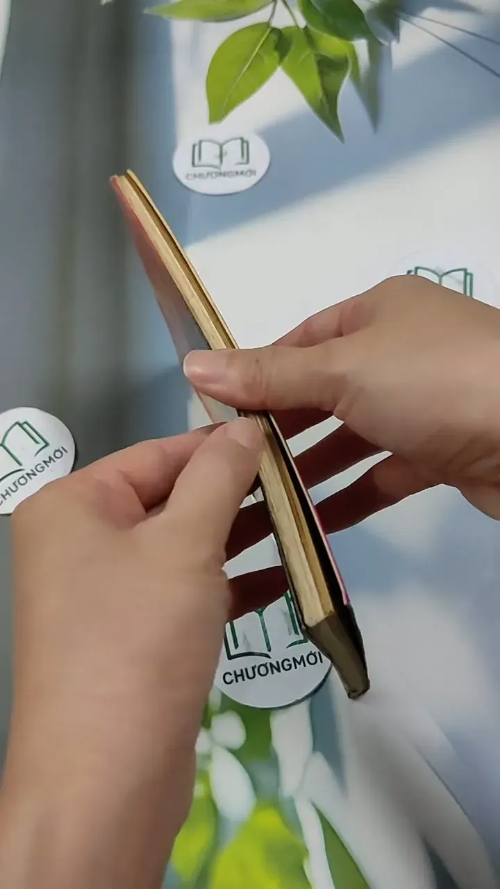 Bất Ngờ Phía Trái Tim - Đoàn Thạch Biền 713853