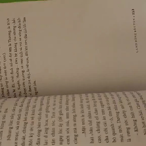 Cánh đồng bất tận - Nguyễn Ngọc Tư - cũ