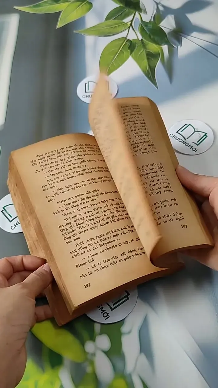 Tuyệt Mù Bóng Chim - Alan Paton 713811