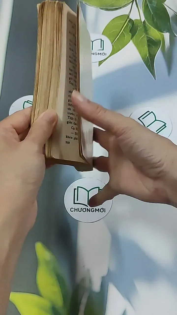 Số đỏ (1994) - Vũ Trọng Phụng 674980