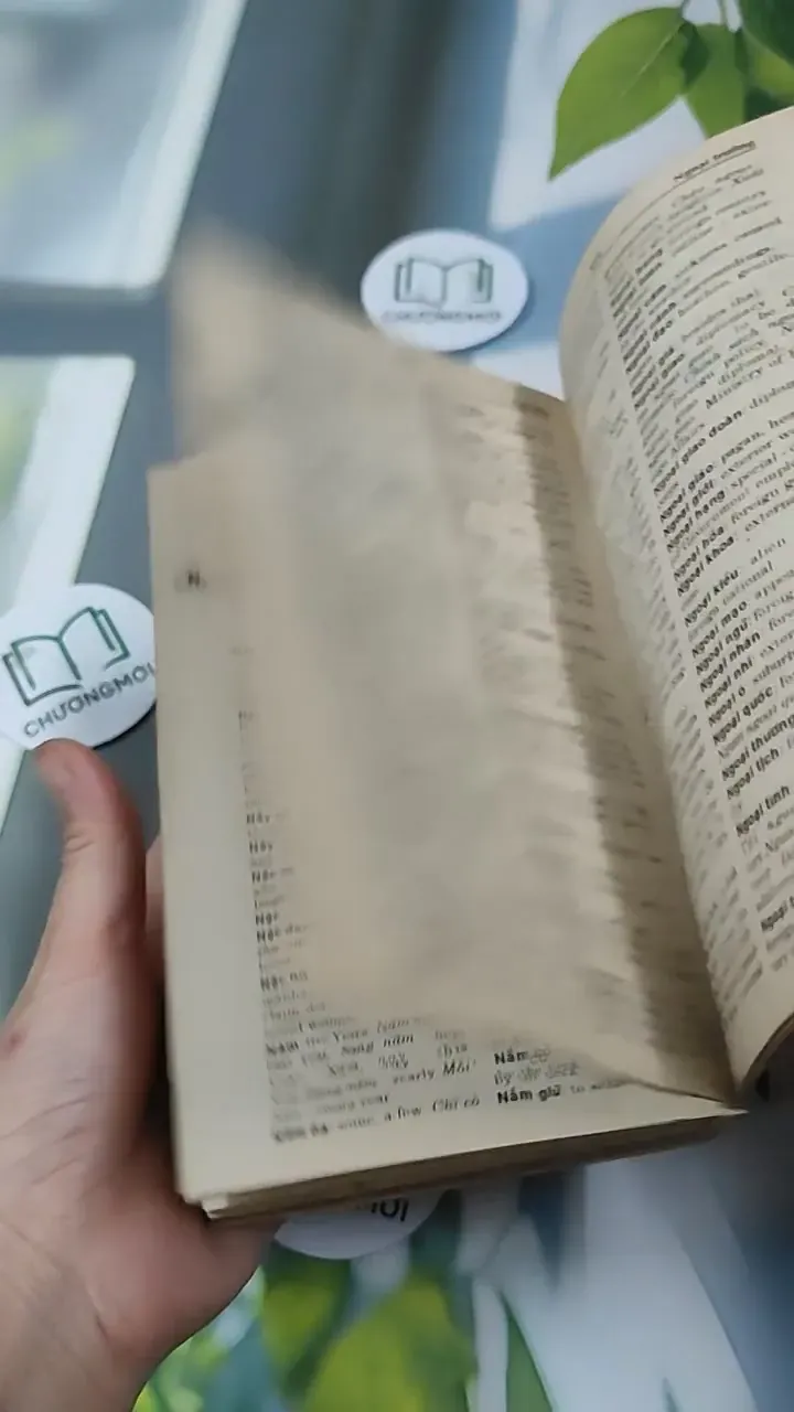 Từ Điển Việt - Anh 1997 (Từ Điển Việt - Anh 1997) 727296