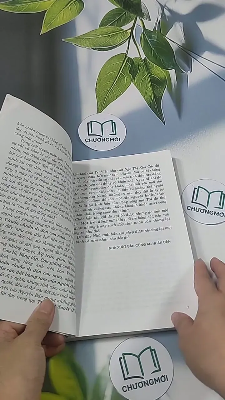 Mặt trời đồng xu - Nguyễn Bản 694916