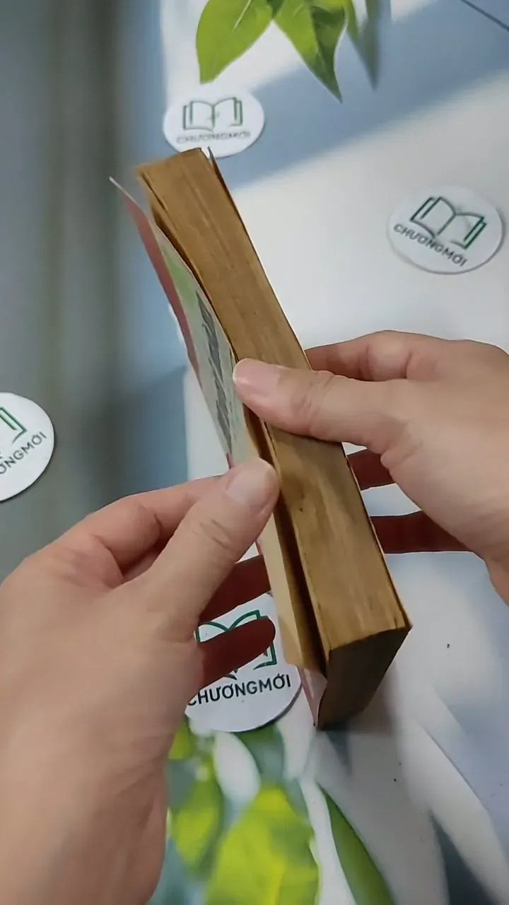 Mười Năm - tập văn chọn lọc 713848