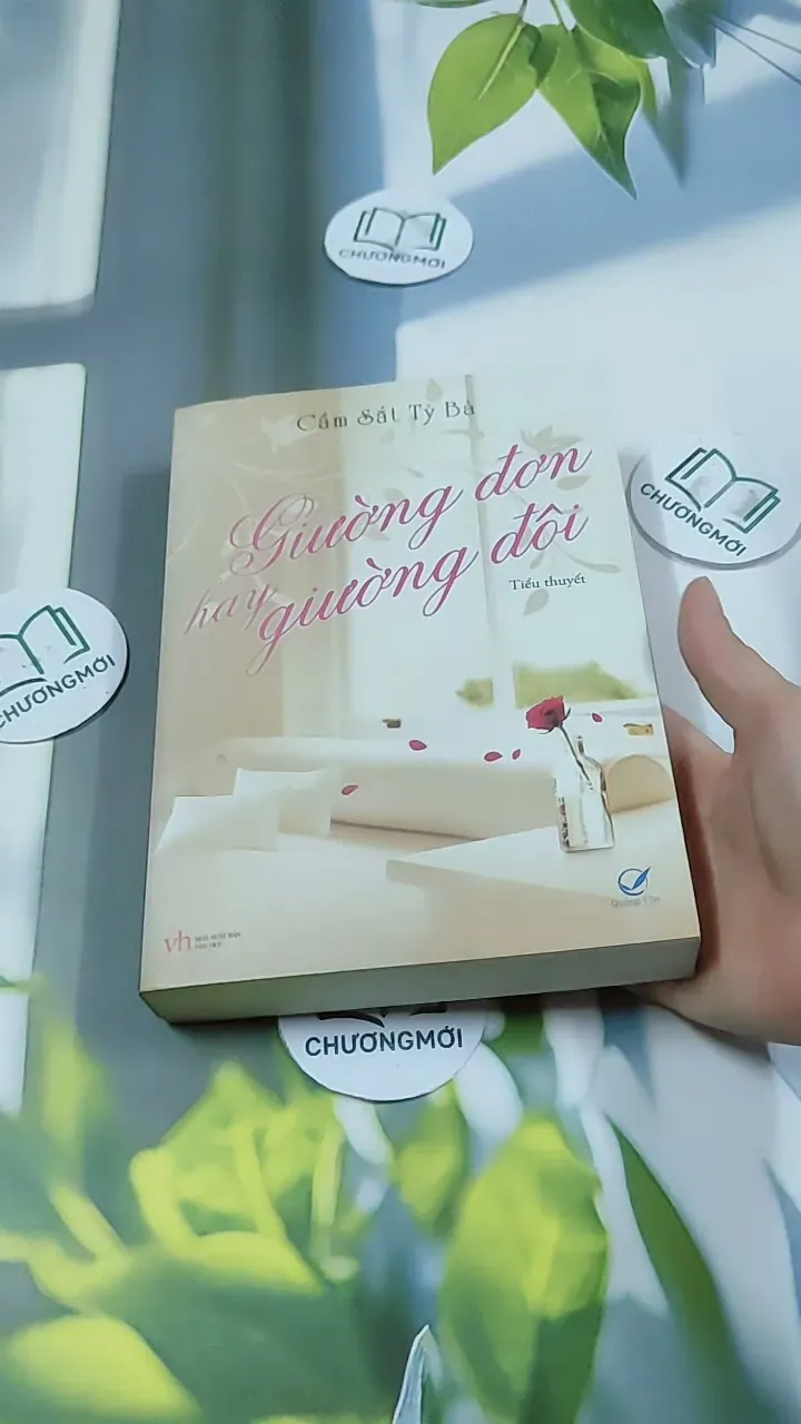 Giường Đơn Hay Giường Đôi - Cầm Sắt Tỳ Bà 744730