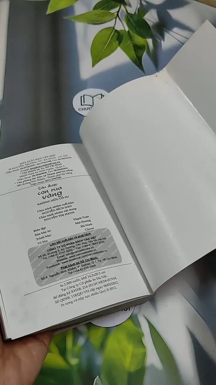 Câu Được Con Rùa Vàng 705689