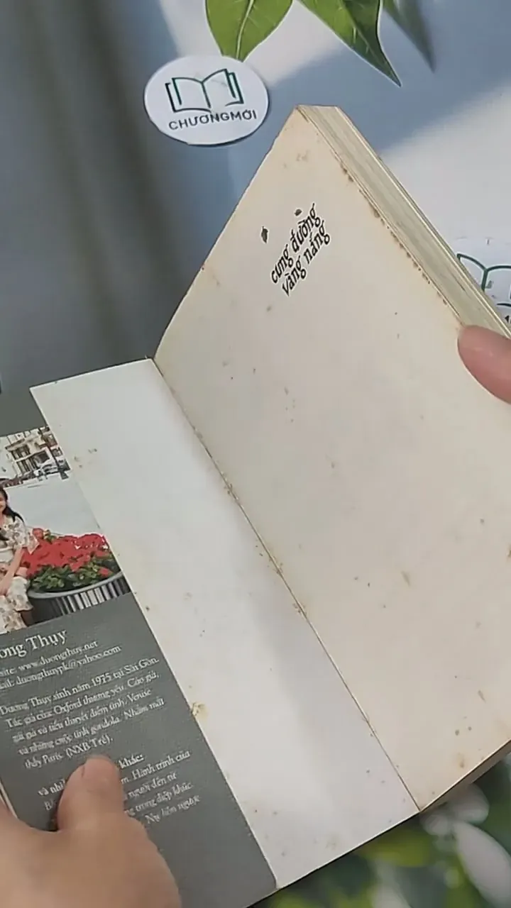 Cung Đường Vàng Nắng - Dương Thụy 705589