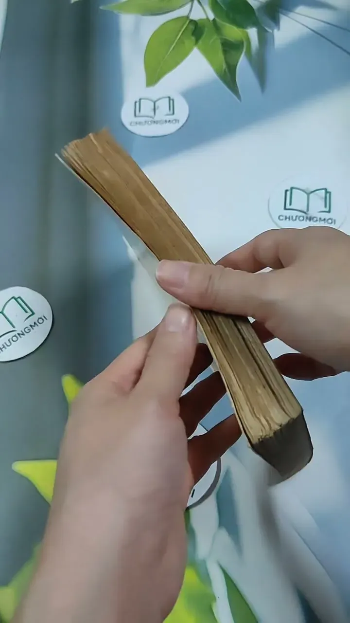 TêRêDa - G. AMaĐô 713871