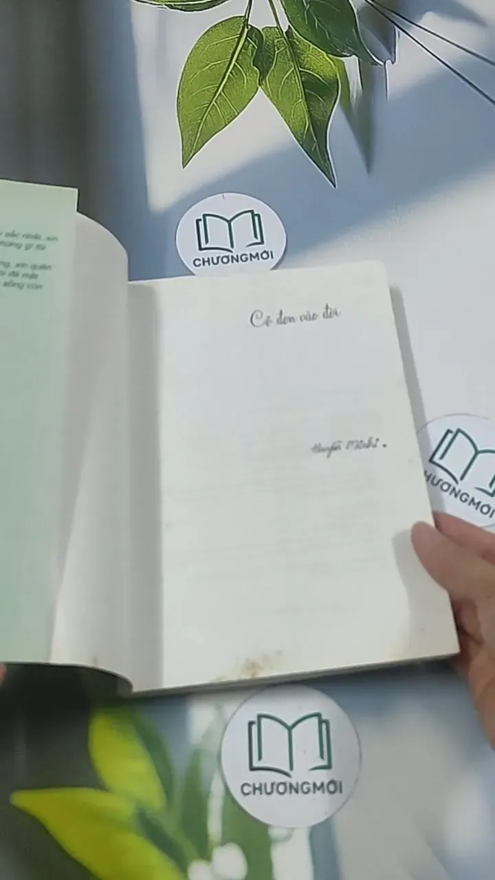 Cô đơn vào đời - Dịch Phấn Hàn 694945