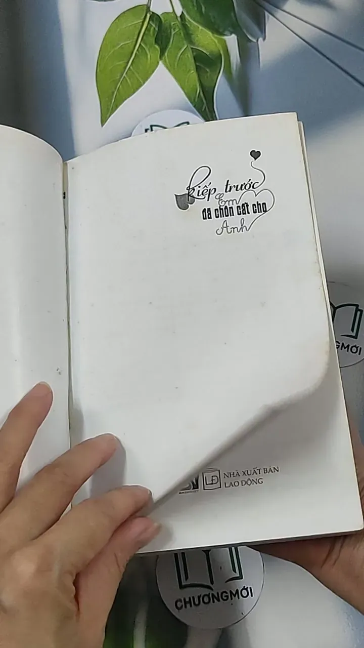 Kiếp trước em đã chôn cất cho anh (Tập 1) - Tào Đình 688675