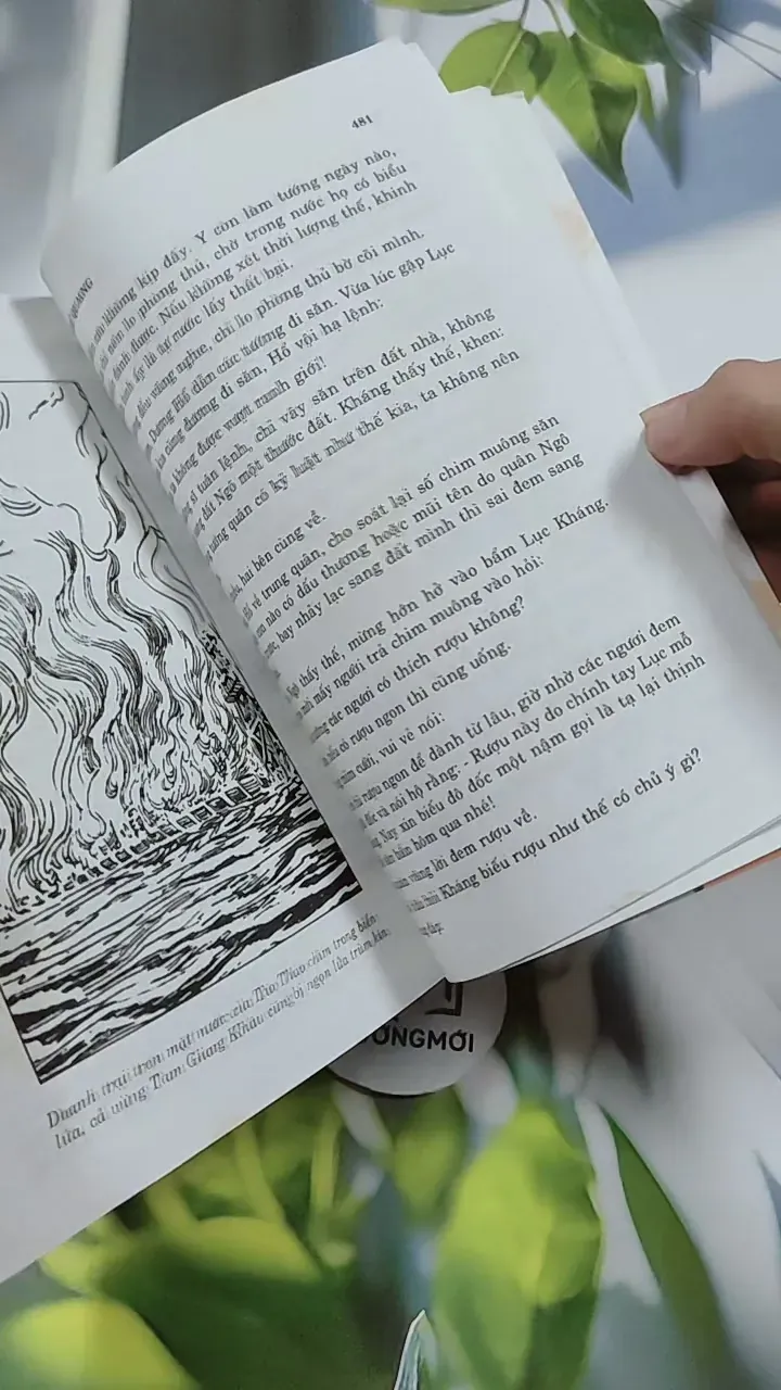 [MIỄN PHÍ BỌC SÁCH] Tam Quốc Bình Giảng - Nguyễn Tử Quang 744720